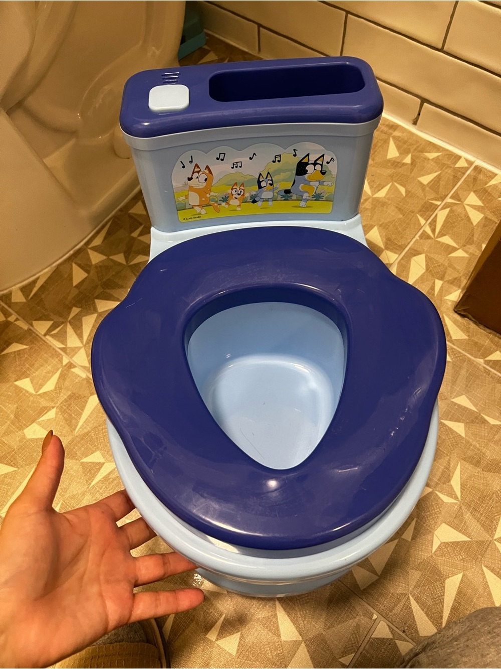 Bluey potty
